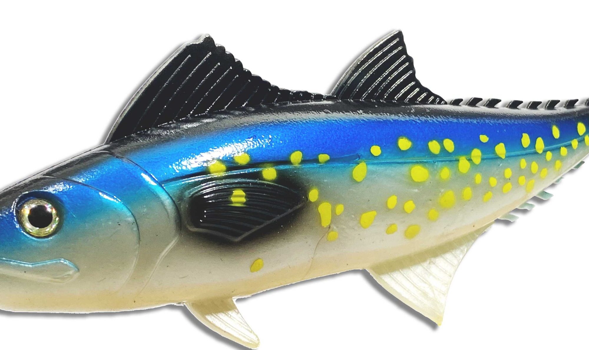 Spanish Mackerel 12" Natural